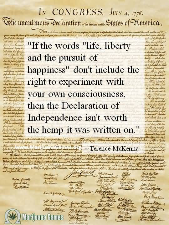 Life Liberty And The Pursuit Of Happiness Quote 01