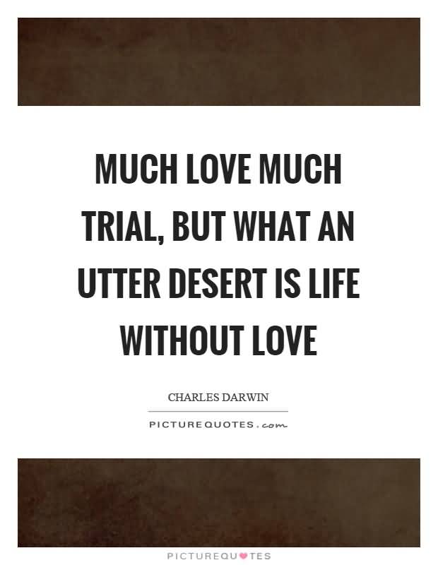 Life Without Love Quotes 03