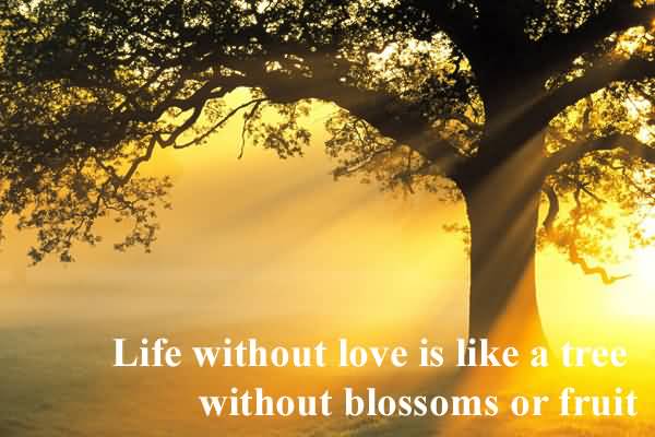 Life Without Love Quotes 05
