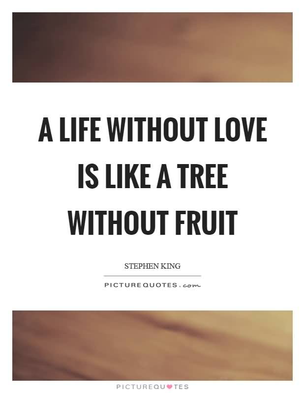 Life Without Love Quotes 12