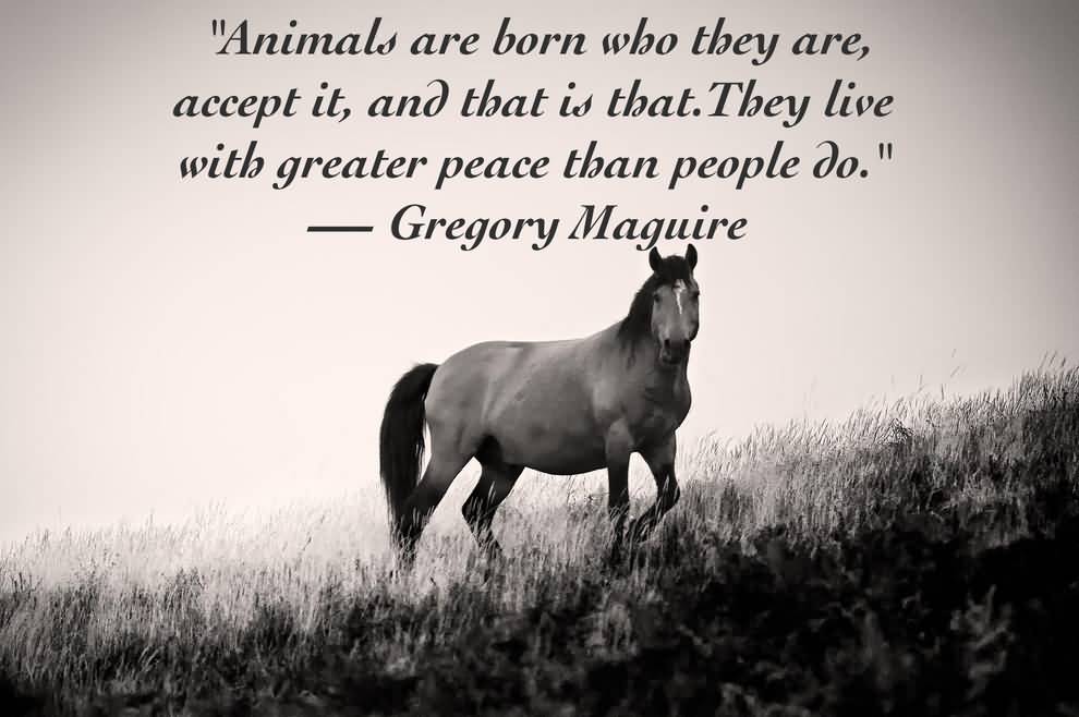 Love Animal Quotes 07 | QuotesBae