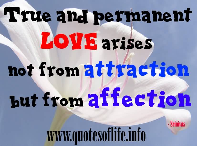 Love Attraction Quotes 03