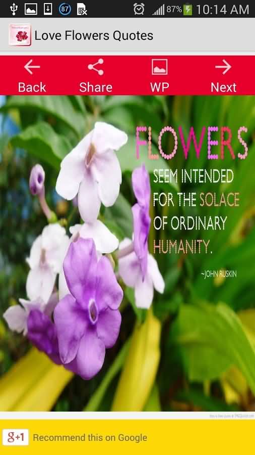Love Flower Quotes 06