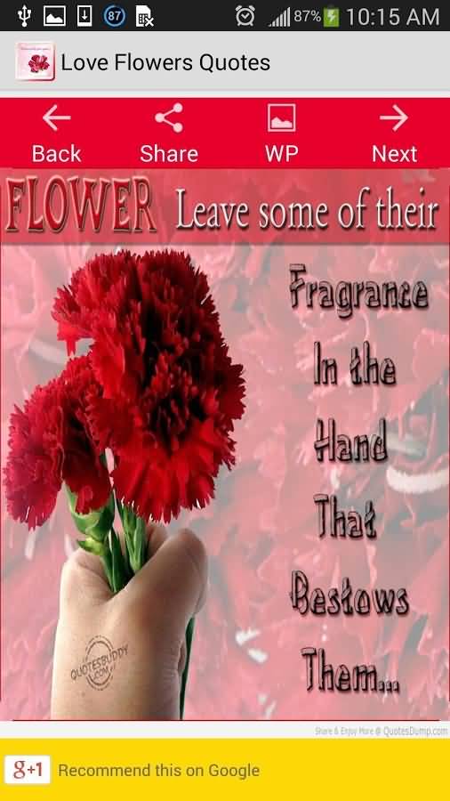 Love Flower Quotes 07
