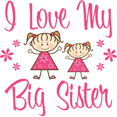 Love My Big Sister Quotes 11