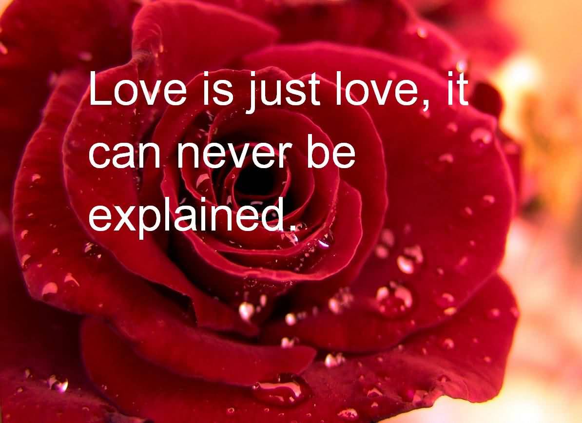 Love Quotes For Valentines Day 07