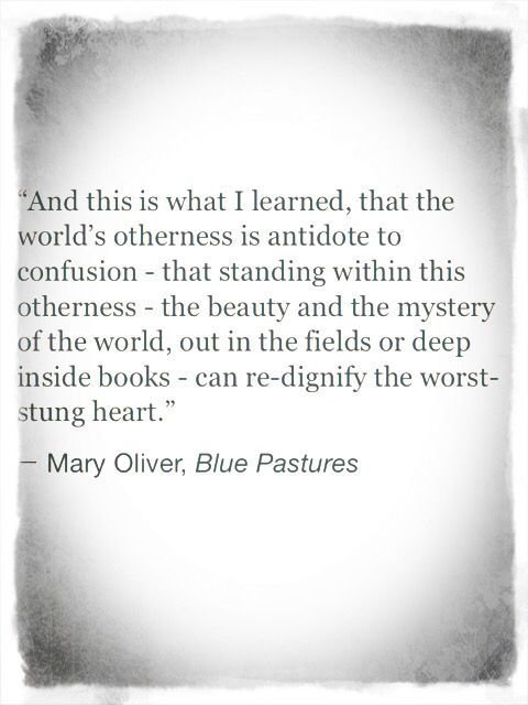 Mary Oliver Love Quotes 06