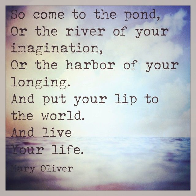 Mary Oliver Love Quotes 16