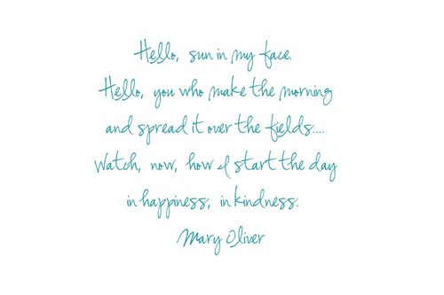 Mary Oliver Love Quotes 18