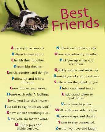 Maya Angelou Quotes About Friendship 19