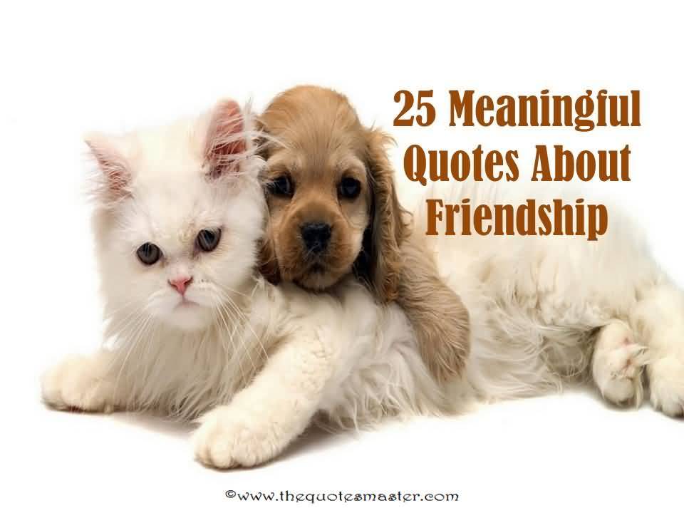 Meaningful Quotes About Friendship 20