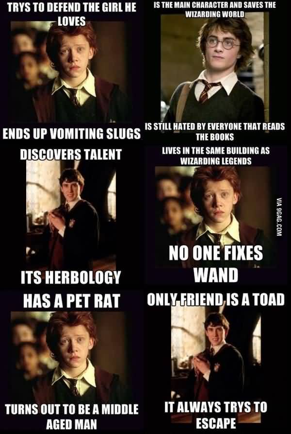 Most Funniest hogwarts meme image