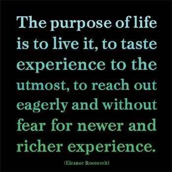My Purpose In Life Quotes 06