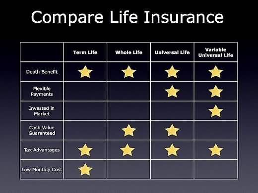 Primerica Life Insurance Quotes 05