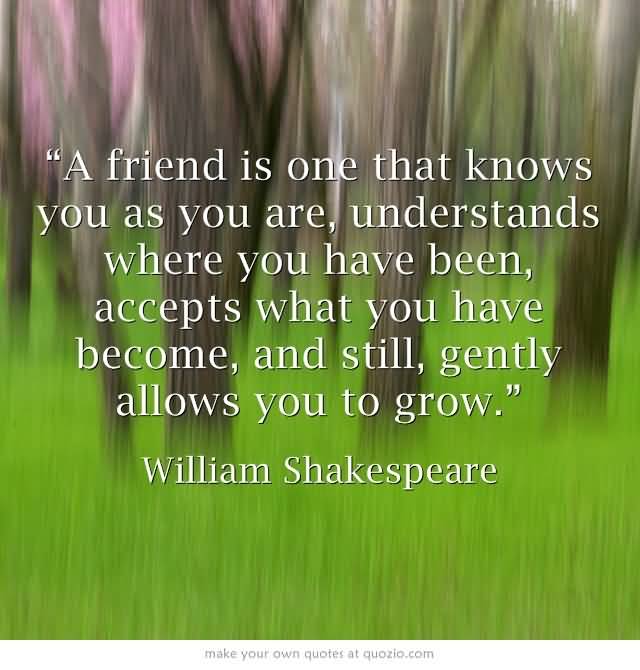 Quotable Quotes About Friendship 12