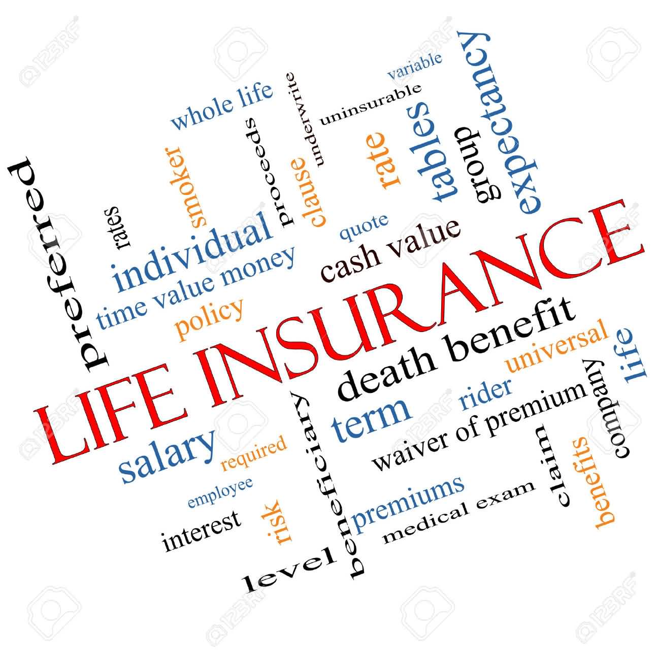 Quote Whole Life Insurance 13