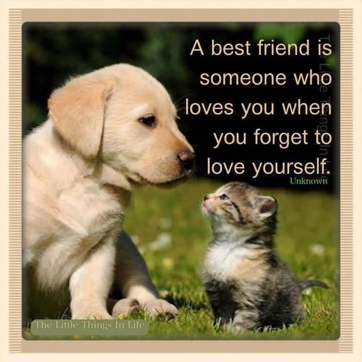 Quotes About Dog Friendship 03 | QuotesBae