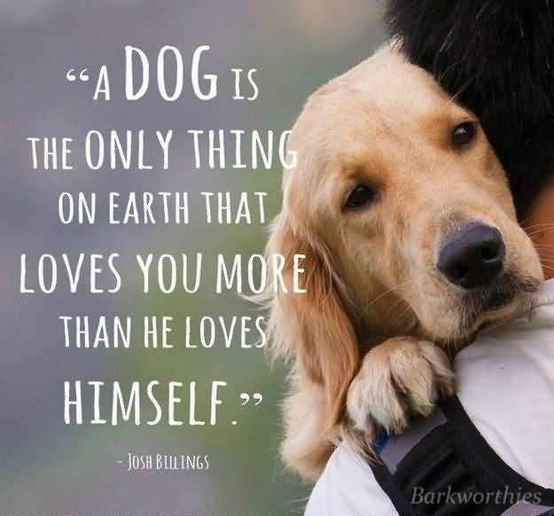 Quotes About Dogs And Friendship 02 | QuotesBae