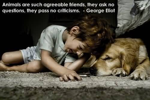 Quotes About Dogs And Friendship 05
