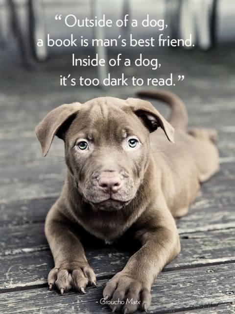 Quotes About Dogs And Friendship 06