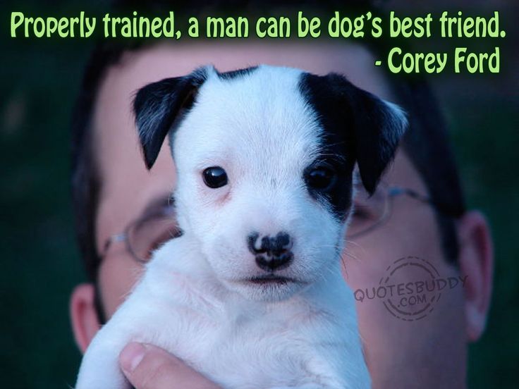 Quotes About Dogs And Friendship 07
