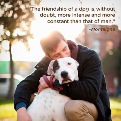 Quotes About Dogs And Friendship 12