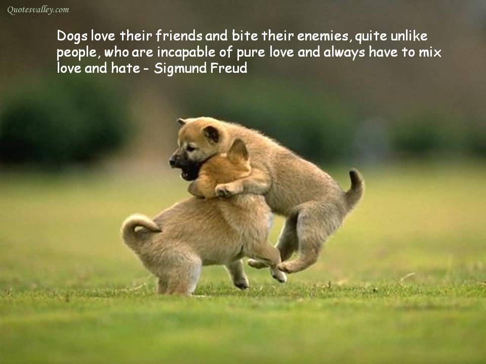 Quotes About Dogs And Friendship 13