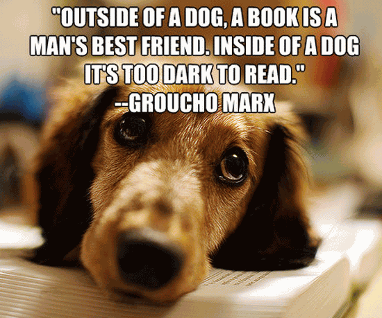 Quotes About Dogs And Friendship 16