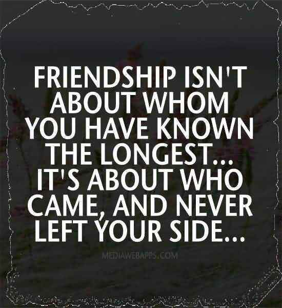 Quotes About Friendship Over 12