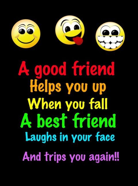 Quotes About Funny Friendship And Life 01