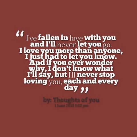 Quotes About How Much I Love You 04