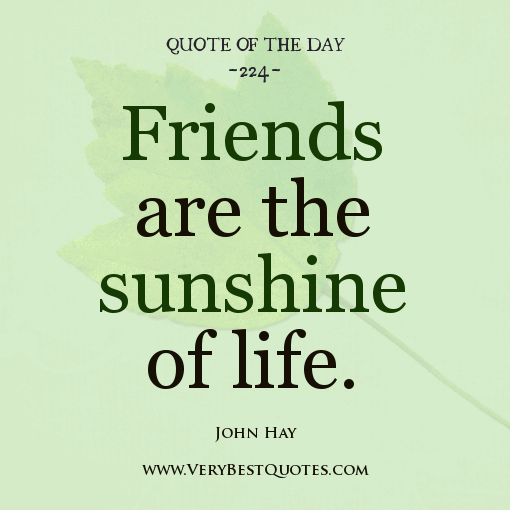 Quotes About Life And Friendship 10