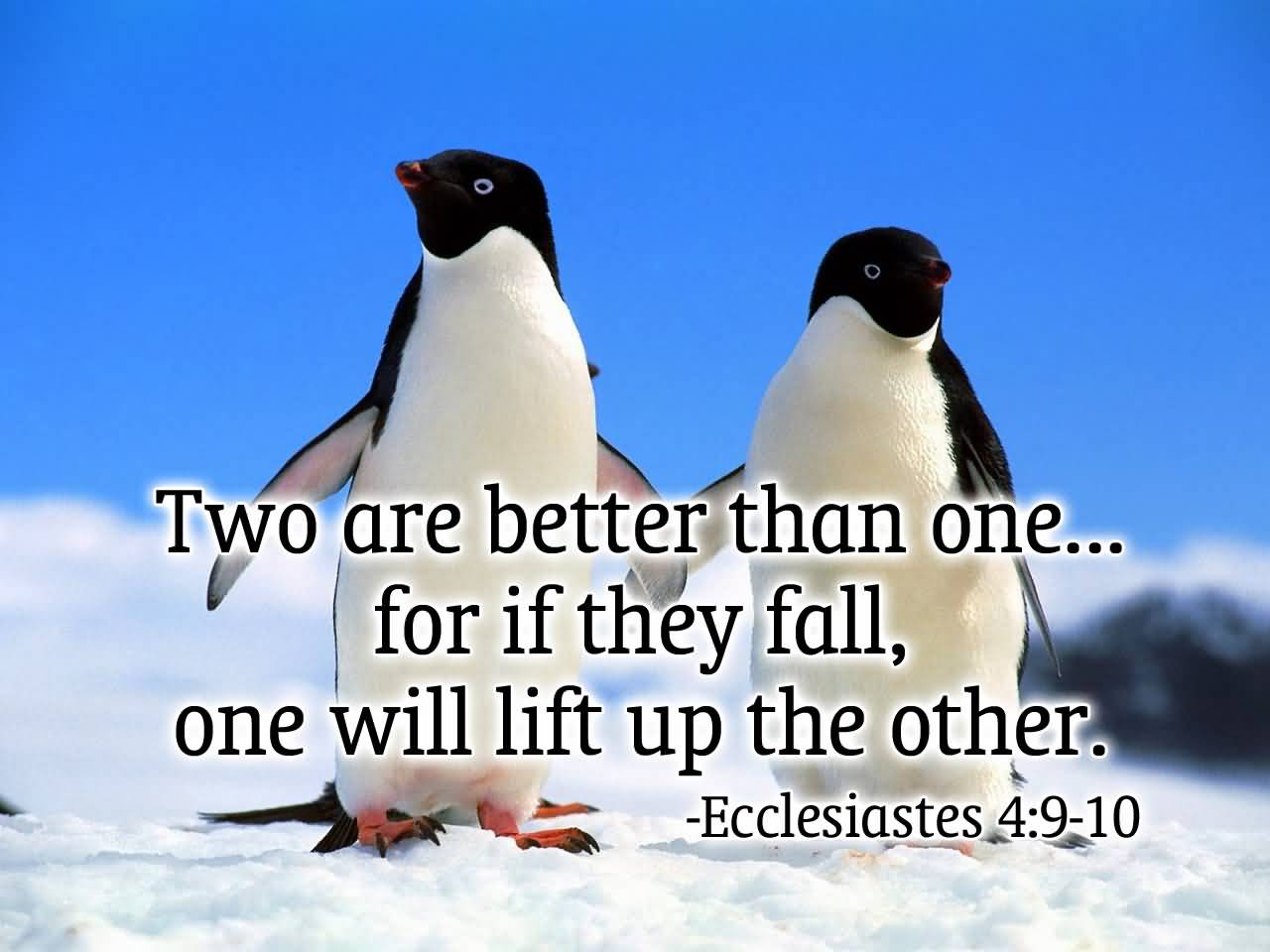 20 Quotes About Life From The Bible With Pictures
