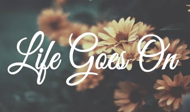 Quotes About Life Goes On 12