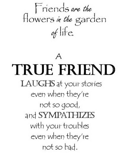 Quotes About Love And Friendship Funny 15