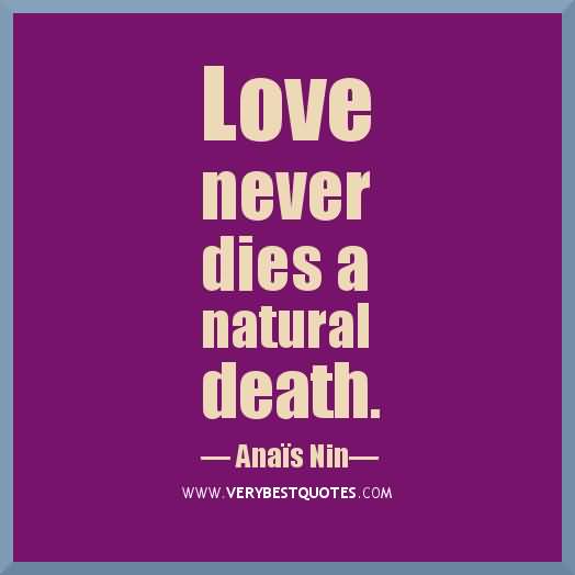 Quotes About Love And Loss 04
