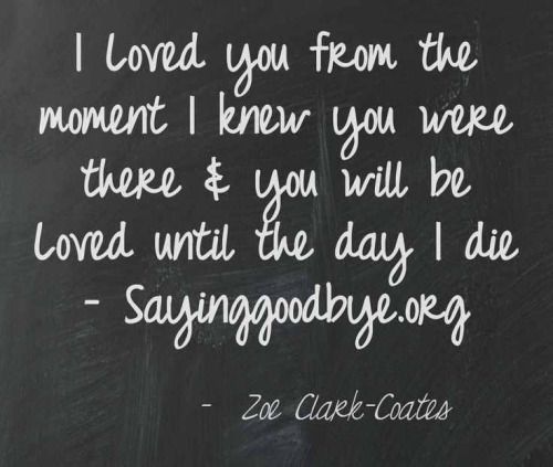 Quotes About Love And Loss 19