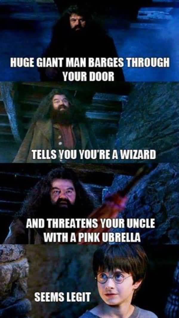 Very funny harry potter memes image