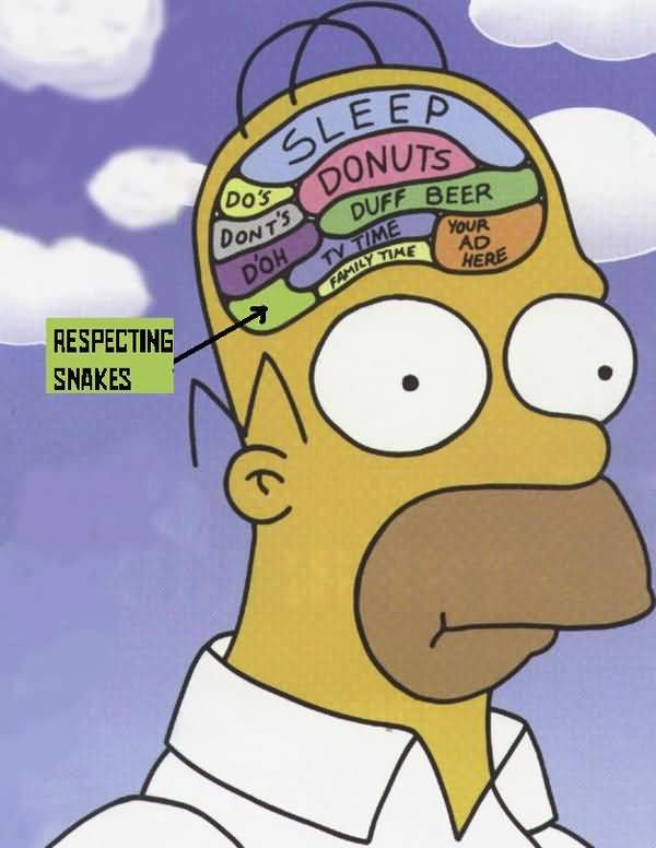 Very funny homer simpson drooling picture memes