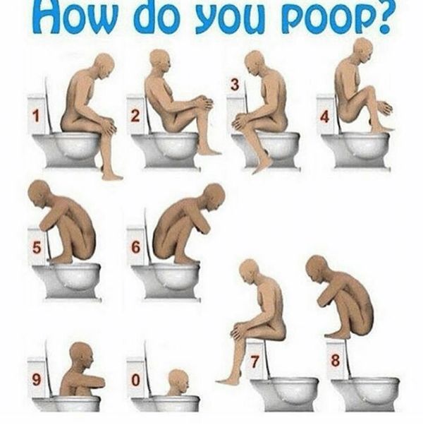 Amusing cool pooping memes photo