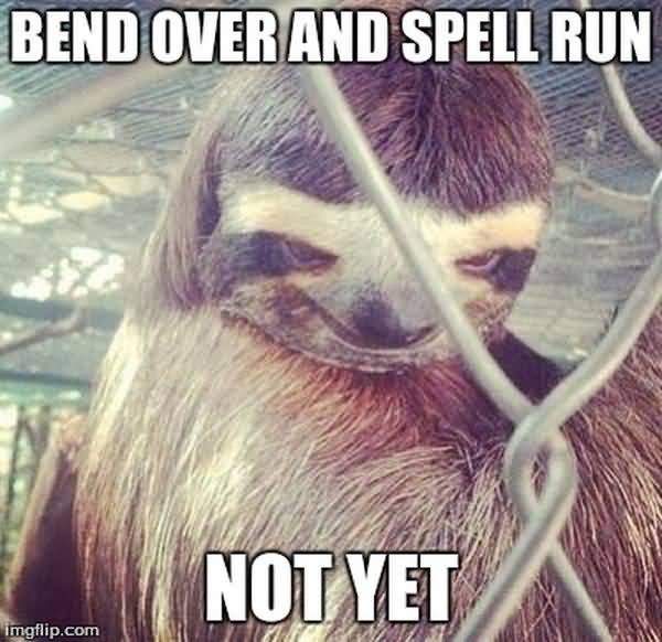 Amusing cool rapist sloth meme photo