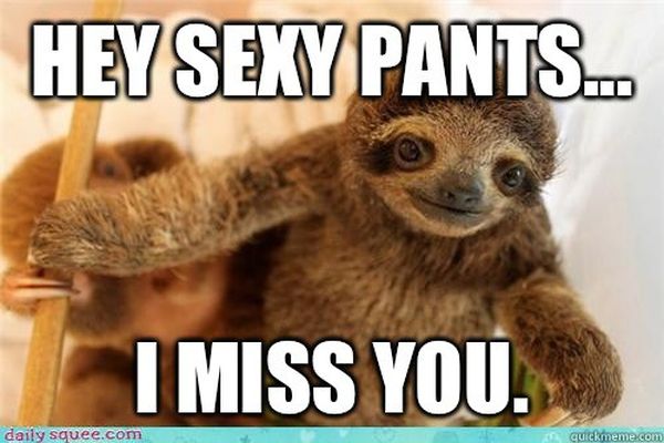 Amusing cool sloth love meme picture