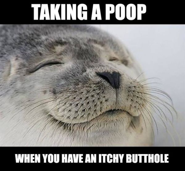 47 Top Poop Meme Photos and Joke Images