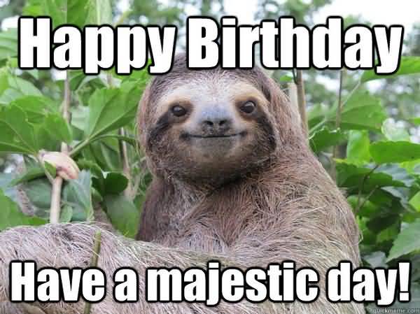Amusing greate birthday sloth meme photo