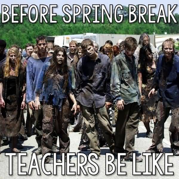 Amusing teacher spring break meme joke