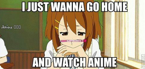 Anime Memes Funny Image Photo Joke 10