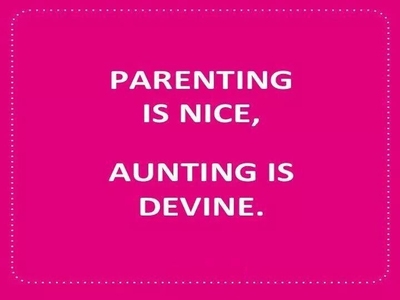 Being An Aunt Quote Meme Image 16