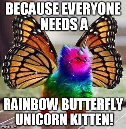 Butterfly Meme Funny Image Photo Joke 07