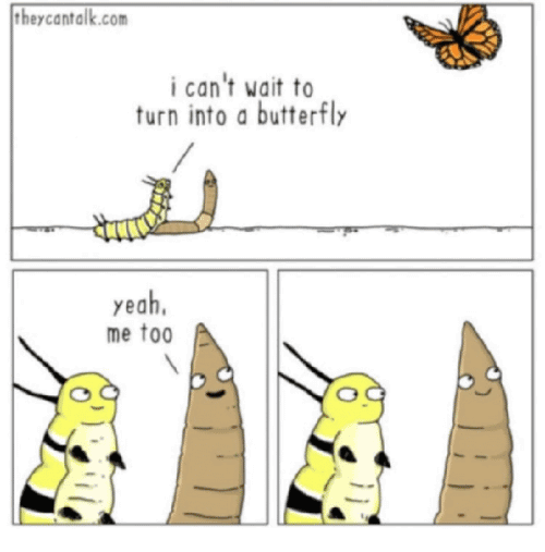 Butterfly Meme Funny Image Photo Joke 08