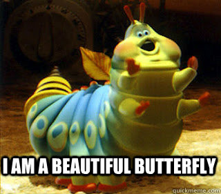 Butterfly Meme Funny Image Photo Joke 11